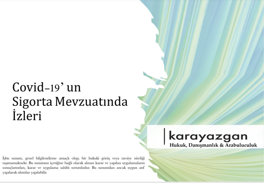 The Impact of Covid-19 on the Insurance Legislation